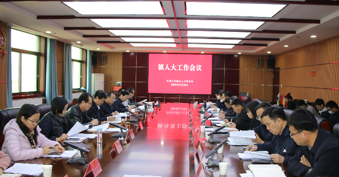 宝鸡市凤翔区人大常委会召开镇人大…